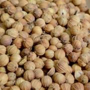 卤菜炖菜川菜用香菜籽