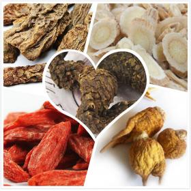 苁蓉玛咖锁阳黄芪枸杞