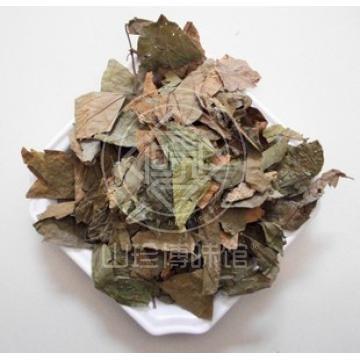 精选正宗野生破麻布叶