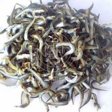 新鲜晒干无骨花钻鱼干