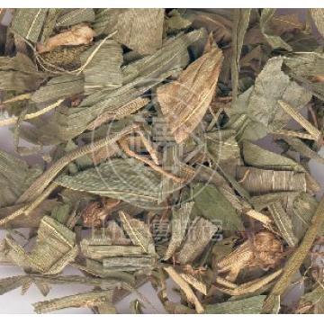精选淡竹叶茶野生淡竹叶