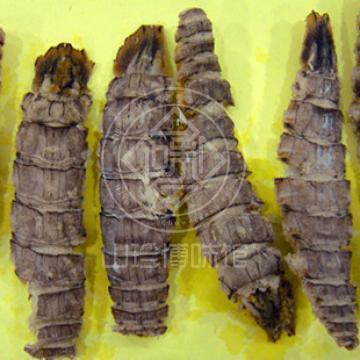 美味管虾琴虾虾姑干货