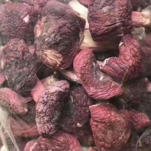 红菇正宗广西钦州红菇野生红菇