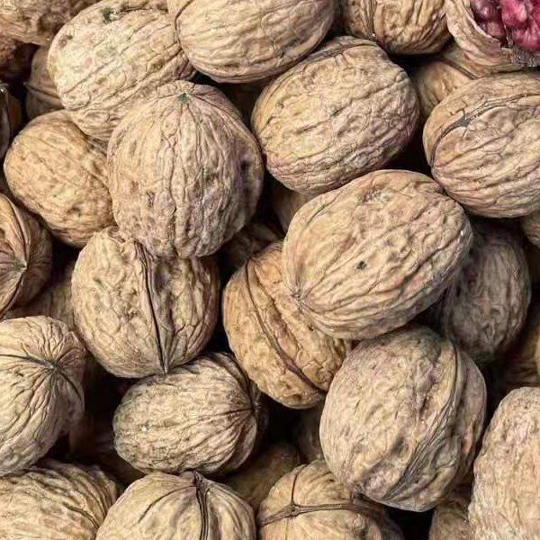 红肉核桃干野生红核桃