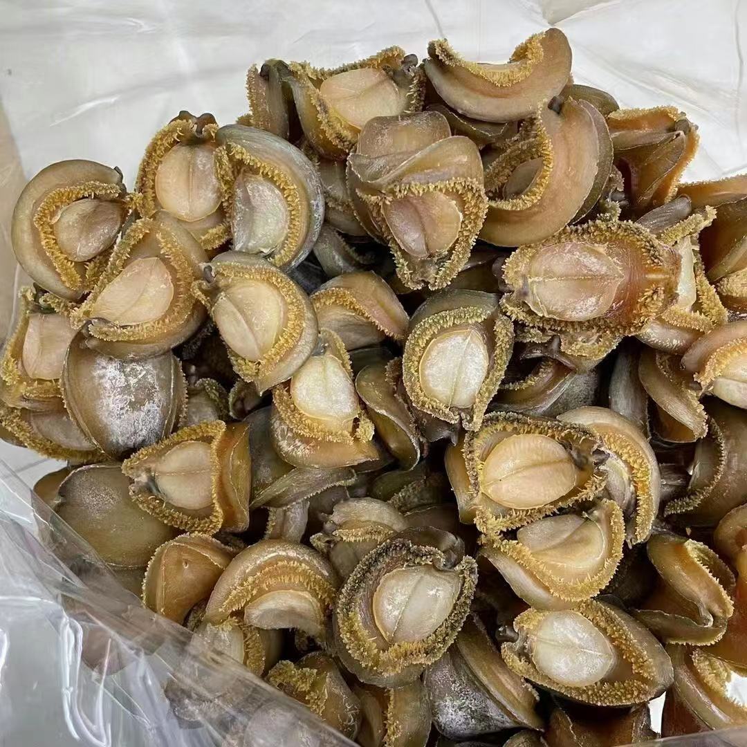 吉品鲍鱼名鲍鲍鱼大鲍鱼