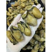 50头新鲜生晒大金蚝海蛎干