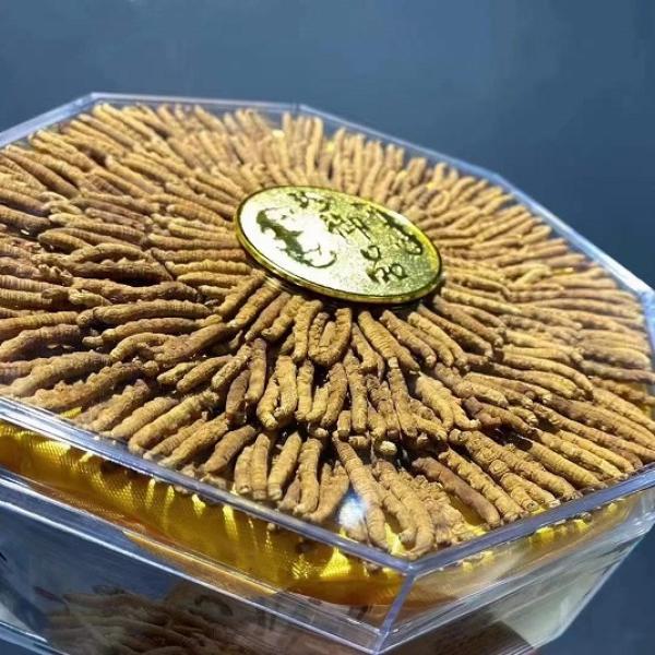 冬虫夏草礼盒西藏虫草礼盒精品