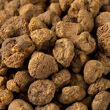 正宗元胡玄胡野生延胡索