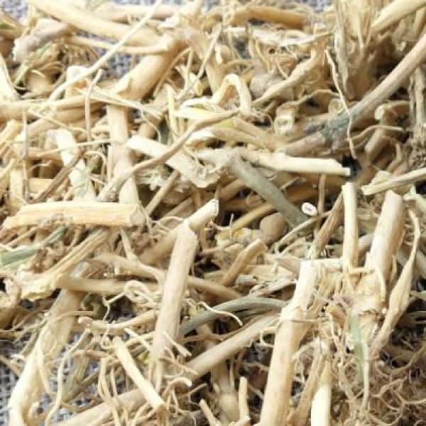 白前根 水杨柳 鹅白前草