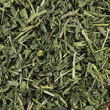 野生透骨草珍珠透骨草