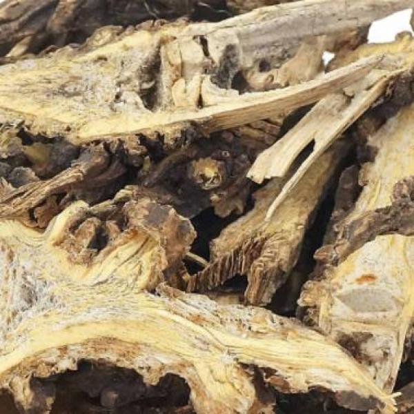 野生香藁臭蒿香蒿苦蒿