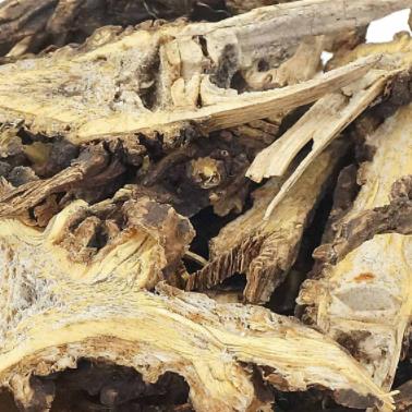 野生香藁臭蒿香蒿苦蒿