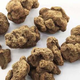 朱砂莲 牛血莲 躲蛇生