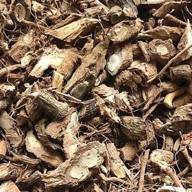 含羞草根红茎害羞草根