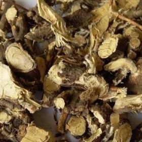 芫花根芫花条根黄大戟根