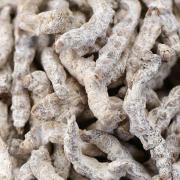 白僵蚕精选僵蚕白僵虫姜蚕