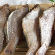 福建午鱼干风干午仔鱼干