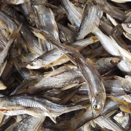 农家刀子鱼鱼干河鱼餐条