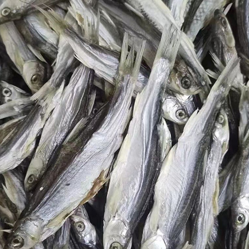 农家刀子鱼鱼干河鱼餐条