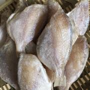 赤七鱼河鲜腌制冻真鲷鱼