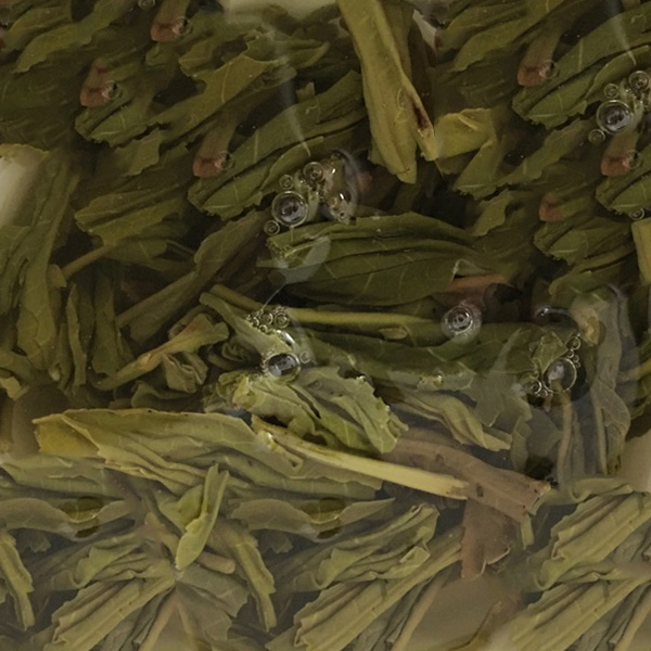白沙绿茶海南白沙明前茶