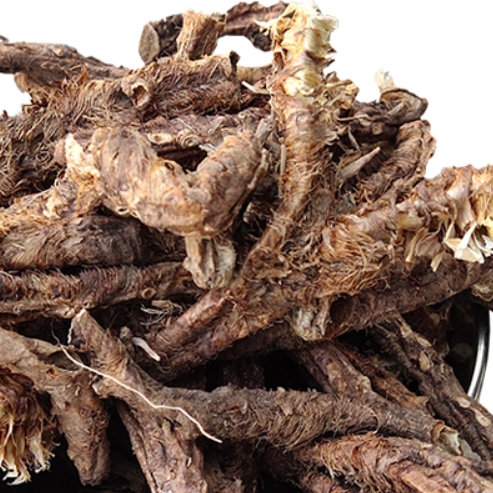 野生知母毛知母肉知母