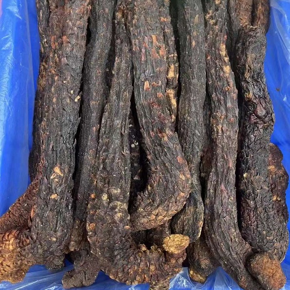 阿拉善秋肉苁蓉油肉苁蓉