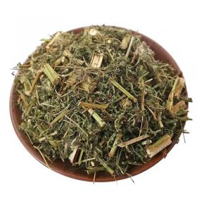 干净无杂野茼蒿草蒿泡茶