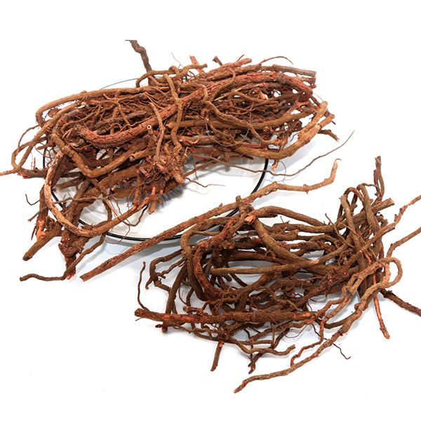 茜草根精选野生草茜根