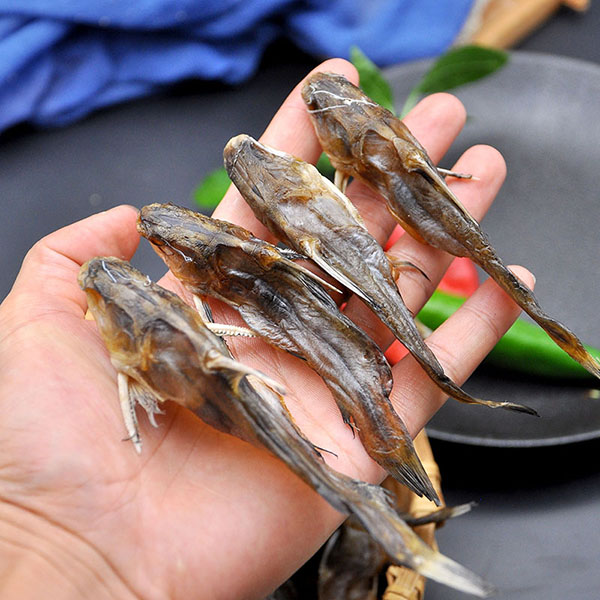 黄骨鱼干汪丫鱼黄辣丁