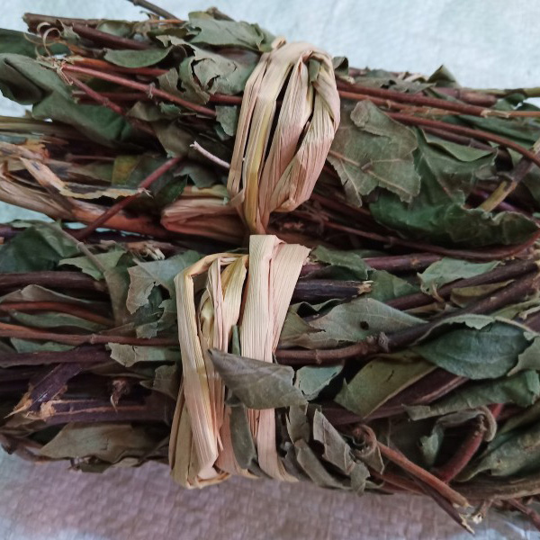 金银花藤忍冬藤金银花藤干