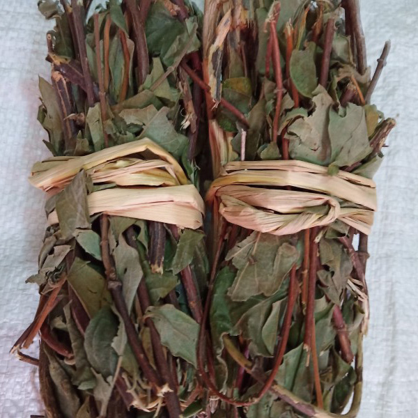 金银花藤忍冬藤金银花藤干