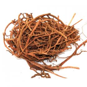 茜草根精选野生草茜根