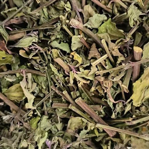 【买5送1】云南特产野生猫须草茶肾茶