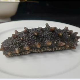 国标鲜食海参大连海参低零添加无挂冰