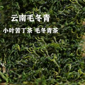 云南野生毛冬青嫩叶茶养生增强免疫力