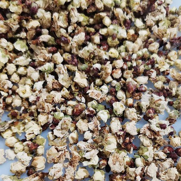 绿萼梅干花茶教师熬夜专属野生白梅花