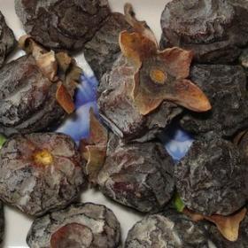 大别山君迁子改善脱发面黄野生...