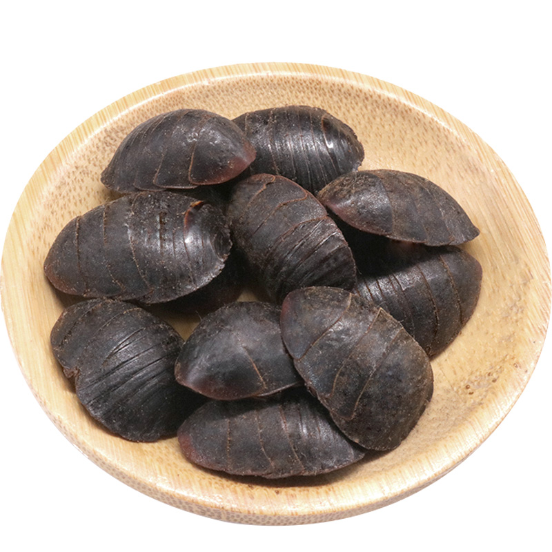 大土元地鳖野生土鳖虫