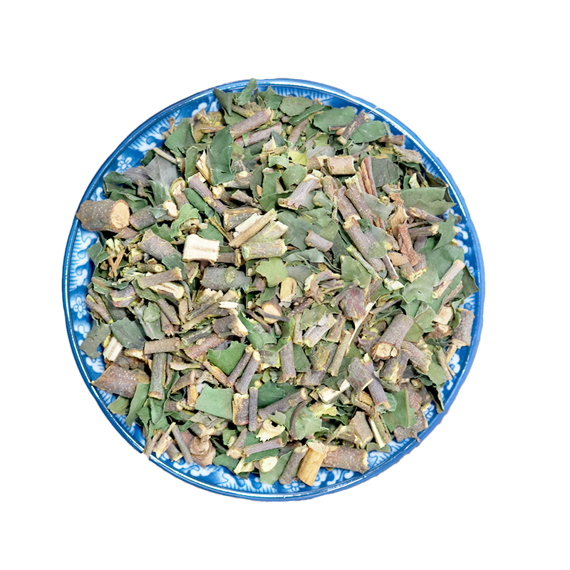 野生桑寄生广西深山广寄生