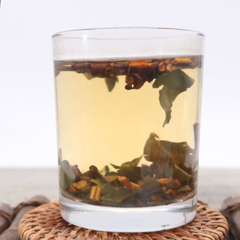 野生桑寄生广西深山广寄生