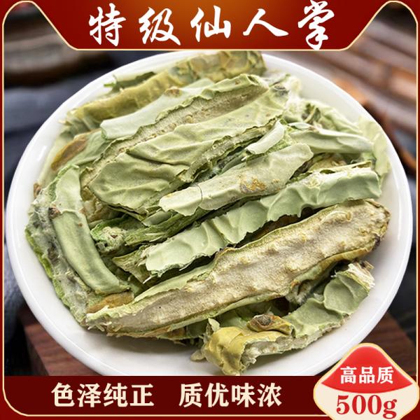 野生仙人掌仙人掌干无刺仙人掌