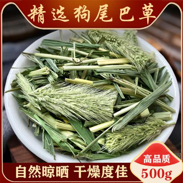 野生狗尾巴草新鲜特级狗尾草干