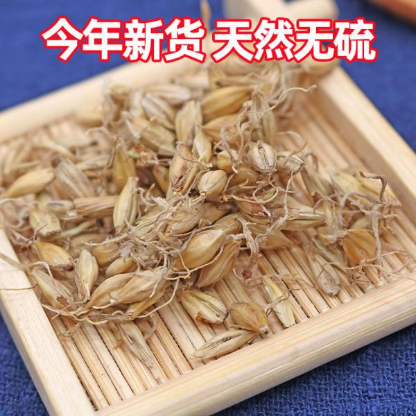 麦芽生麦芽大麦芽无硫新货麦芽茶