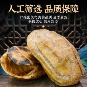 正品龟甲壳整个龟壳龟甲
