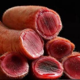 整根新鲜鹿茸泡酒鹿茸段头茬二...