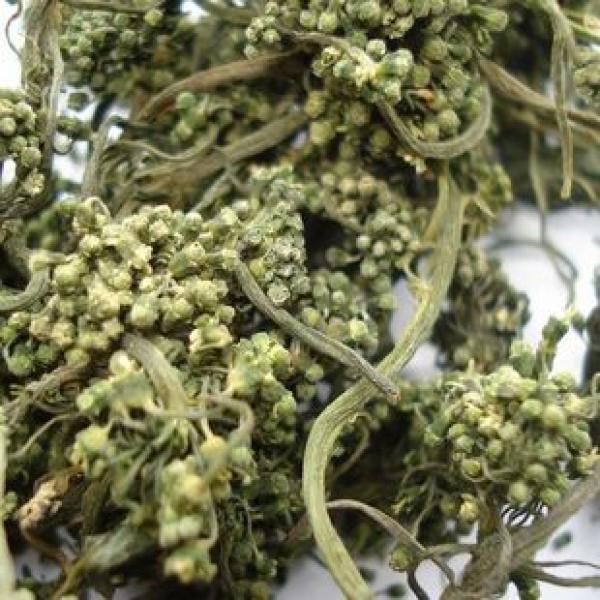 人参花长白山人参花花茶