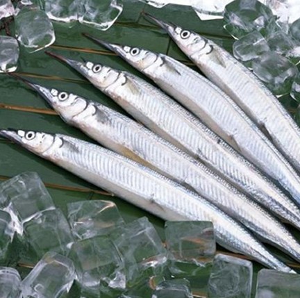 马步鱼新鲜鱼干大棒马步鱼