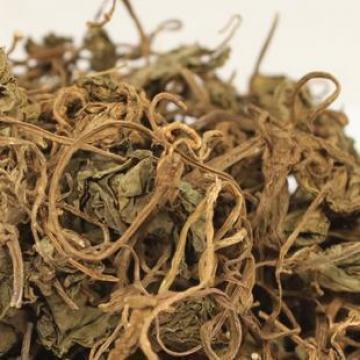 精选独脚青天葵正宗青天葵