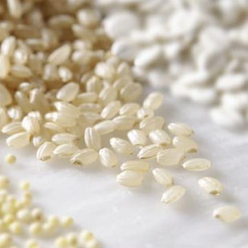 精选香糯米正宗巴马糯米
